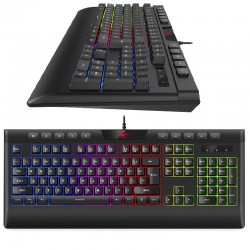 Teclado HAVIT Gaming KB487L USB