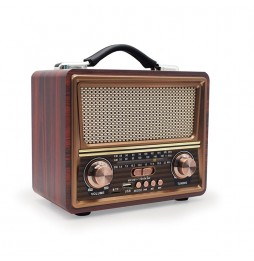 RADIO ISOLARIEARTH  IS-899BTS