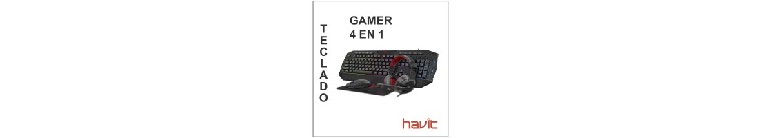 Combo Gamer 4 en 1