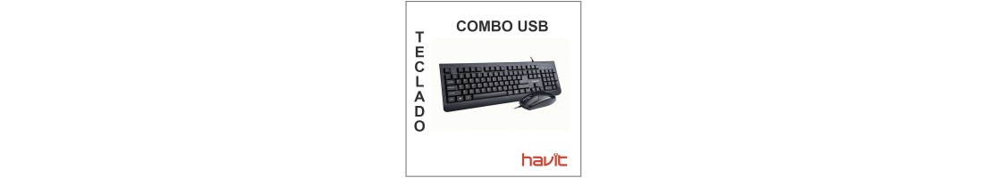 Teclado Combo USB