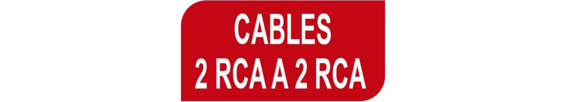 Cable 2 RCA/2 RCA