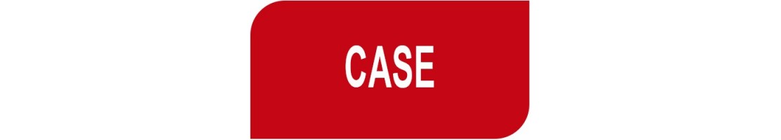 CASE